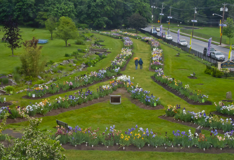 Presby Iris Gardens, United States